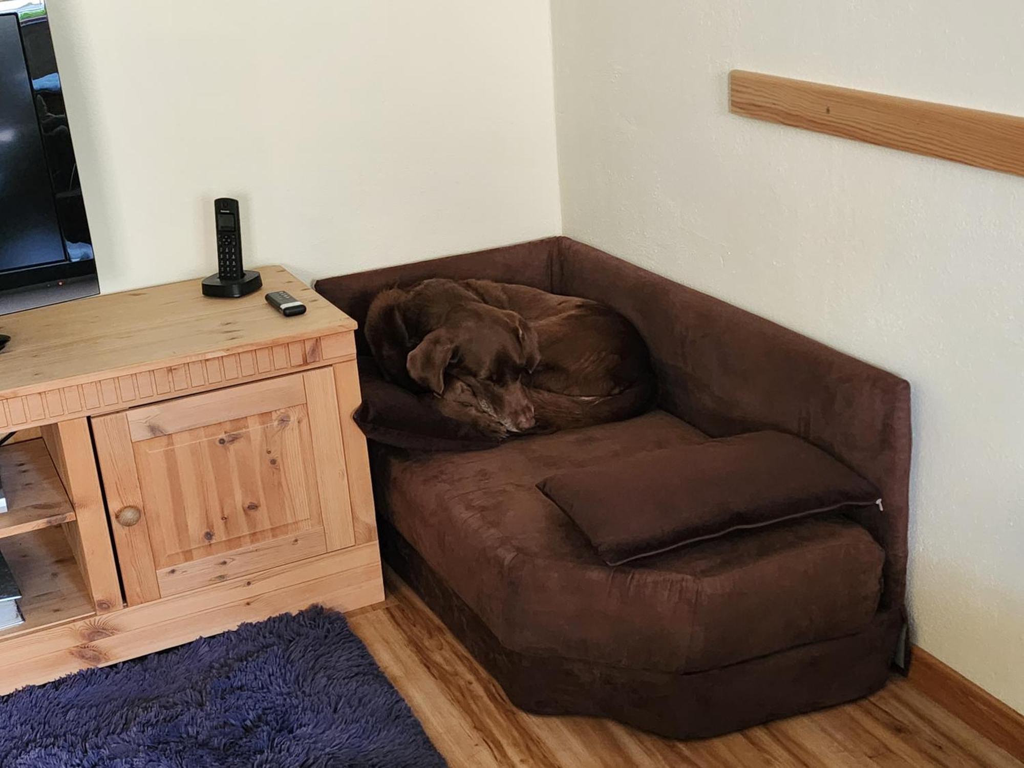 Ferienwohnung Baer Vohenstrauss Luaran gambar